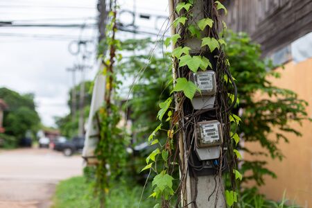 August 9th 2019 Udon Thani Thailand: Old electricity meter on electricity post in outdoor with 
vine nature,The meter is a unit of power reading for Provincial Electricity Authority.の写真素材