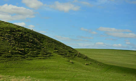 The Pasture Landの写真素材