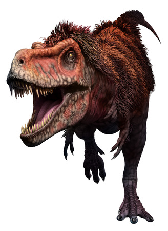 Tarbosaurusの写真素材