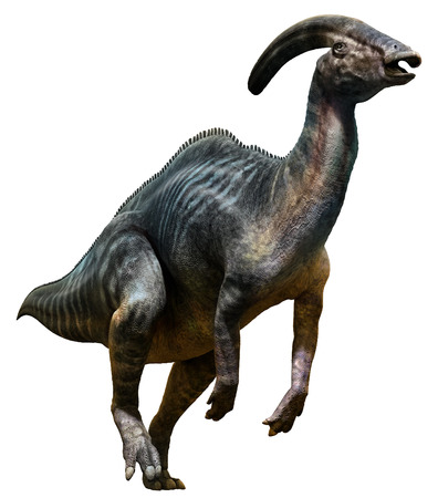 Parasaurolophusの写真素材