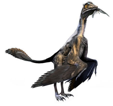 Archaeopteryx 3D illustrationの写真素材