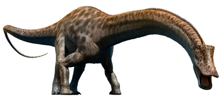 Diplodocus 3D illustrationの写真素材