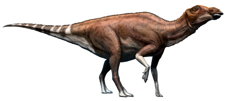 Brachylophosaurusの写真素材
