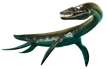 Plesiosaurusの写真素材