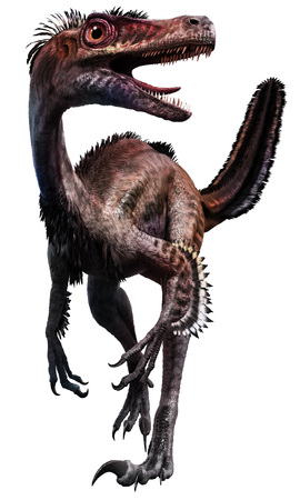 velociraptorの写真素材