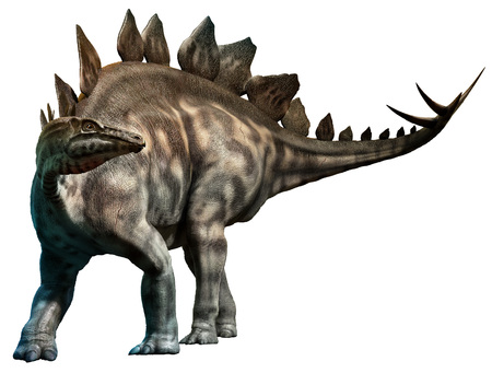 Stegosaurusの写真素材