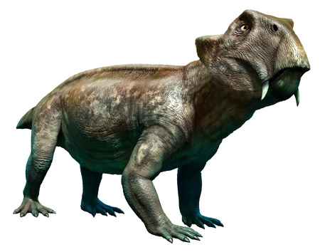 Lystrosaurusの写真素材
