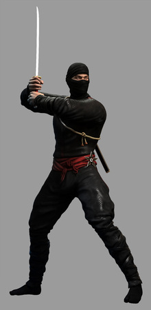 Ninjaの写真素材