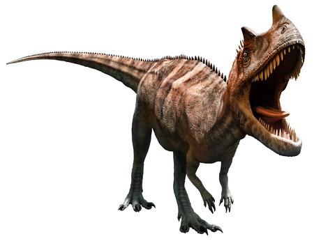 Ceratosaurusの写真素材