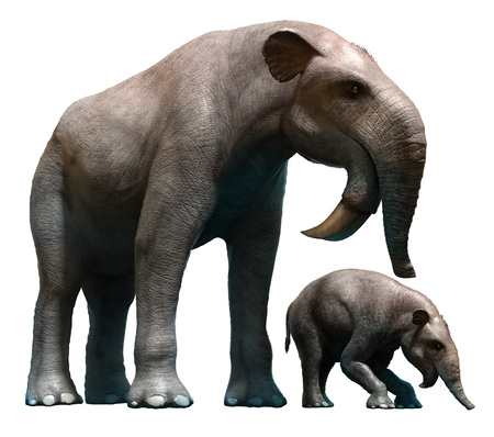 Deinotherium and calfの写真素材