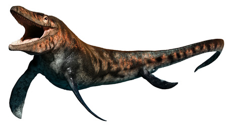 Tylosaurusの写真素材