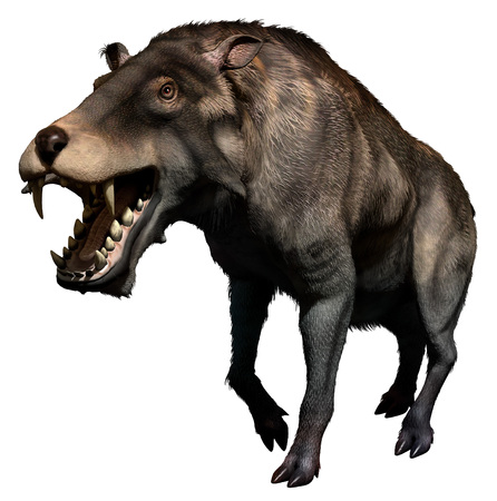 Entelodonの写真素材