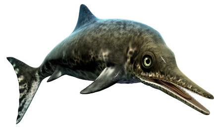 Stenopterygiusの写真素材