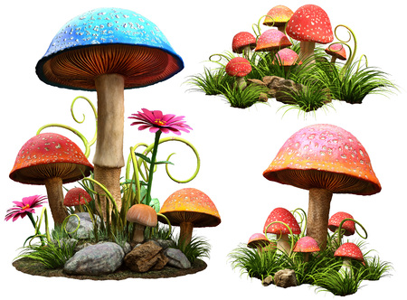 Mushroomsの写真素材