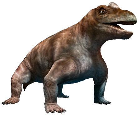 keratocephalus illustrationの写真素材