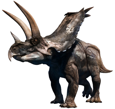 Agujaceratops illustrationの写真素材