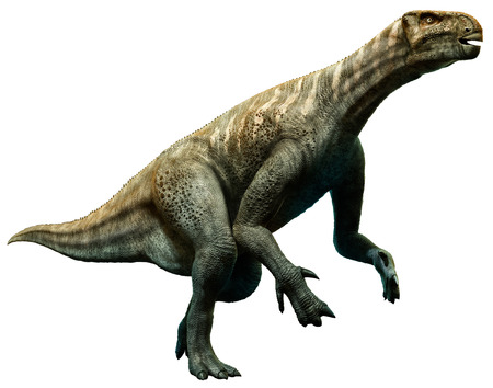 Iguanodon illustrationの写真素材