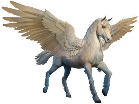 Pegasusの写真素材