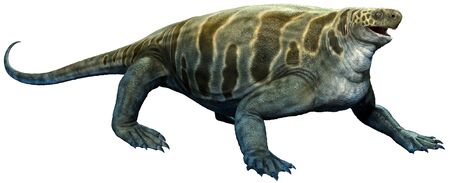 Cotylorhynchus from the Permian era 3D illustrationの写真素材