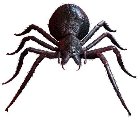 Giant Spider top view 3D illustrationの写真素材