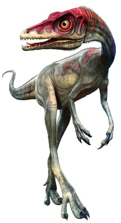 Compsagnathus from the Jurassic era 3D illustrationの写真素材