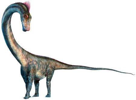 Barosaurus from the Jurassic era 3D illustrationの写真素材