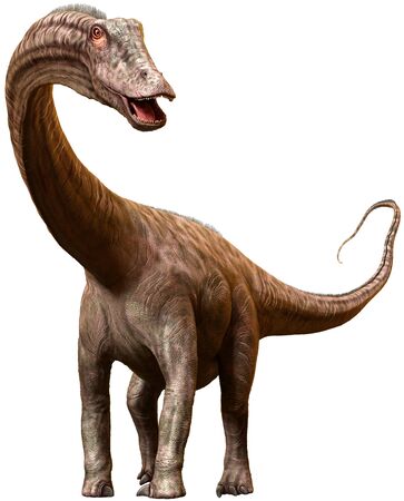 Diplodocus dinosaur from the Jurassic era 3D illustrationの写真素材