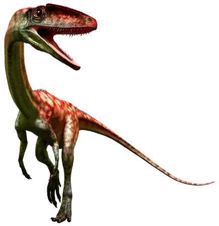 Coelophysis 3D illustrationの写真素材