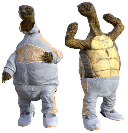 Cartoon Tortoises working out 3D illustrationsの写真素材