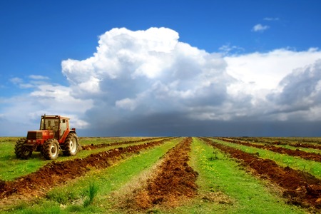 Farm field and blue skyの写真素材