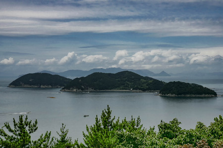 The Summer scenery of the Hanryeo Sea Parkの写真素材