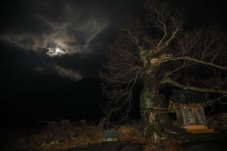 Feb 19, 2019-Sangju, Soth Korea-A Vew of Full Moon show rise on the South Korea sky.のeditorial素材