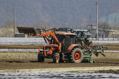 March 17, 2018-Hamchang, South Korea-Farmers seed potatoes and Spring Onion with a farm machinery at the field in Hamchang, south of Seoul (about 170Km) Gyeongbuk Province, South Korea. Farmers are busy with their work in the early spring.のeditorial素材