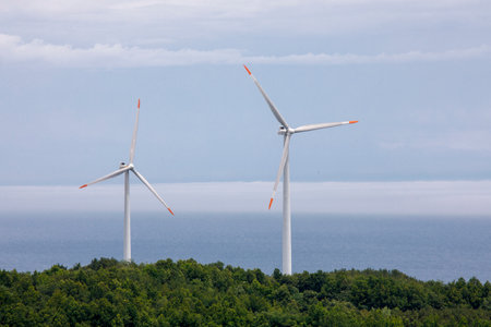 Wind power plant operation for elictricity production.