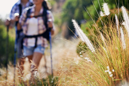 A couple walking along a hiking trail with selective focus on wilderness plantationの写真素材