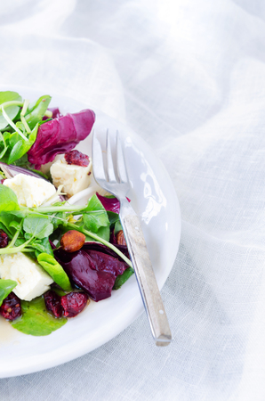 Healthy mix green salad with cranberry, almonds and feta for a gourmet light meal lunch dinner appetiserの写真素材