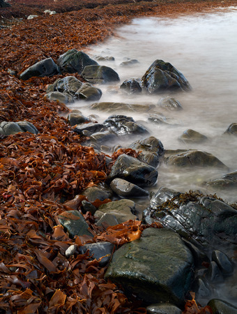Artistic misty long exposure ocean waves on rocky slippery beach with seaweed algaeの写真素材
