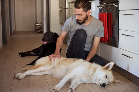 hipster man petting and rubbing his dog, loving affection relationship bond between owner and pet