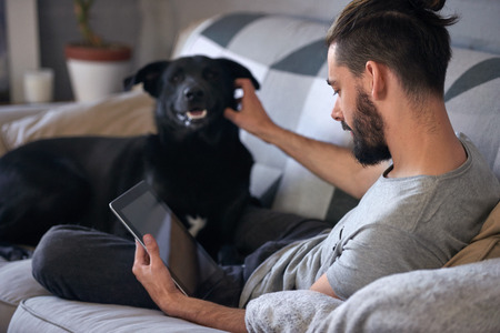 Dog owner petting and scratching his pet on the couch sofa, while surfing the internet on his tablet device, a loving affectionate relationshipの写真素材