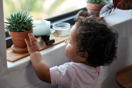 Curious young child touching a pot plant on window sill, inquisitive learning childhood developmentの写真素材