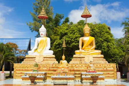Twin Buddha Imagesの写真素材