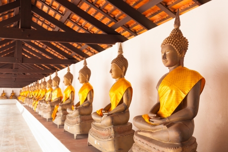 Row of seated bronze Buddha Imagesの写真素材