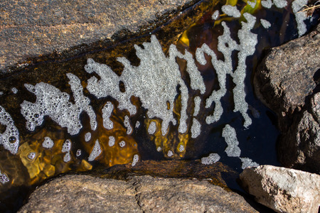 Sponge river mountain and rock