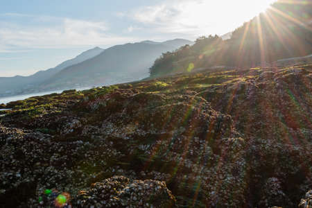 beach with blue sky and stones in the evening sun setのeditorial素材