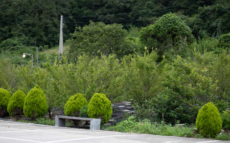 lot of trees up there.の写真素材