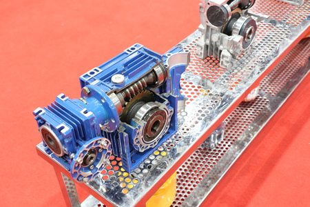 cross section of worm gear pump ; selective focus