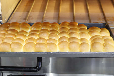 Row of fresh  baking bread from the oven  ; industrial food and drink backgroundの写真素材