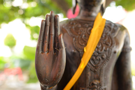 Buddha's handの写真素材