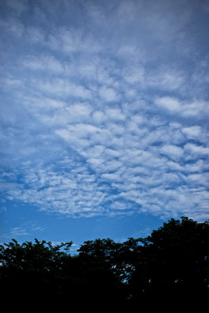 nice sky dayの写真素材