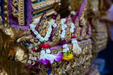 Jasminesの写真素材